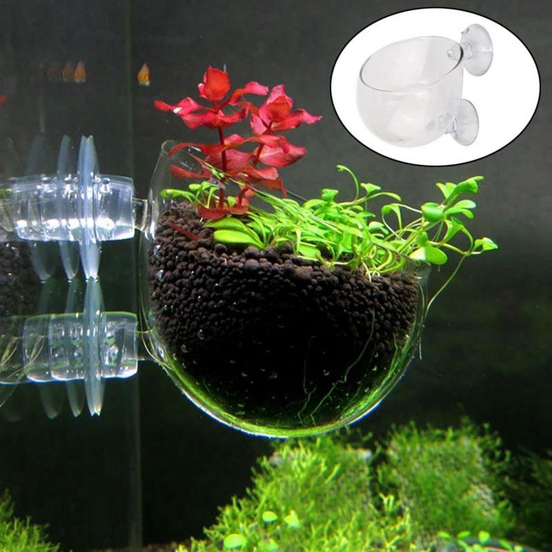 Marine Aquarium Aquascape - 水族館の装飾植物カップポットアクリル水生植物カップ吸引ホルダー付き植栽シリンダーカップ水族館アクセサリー