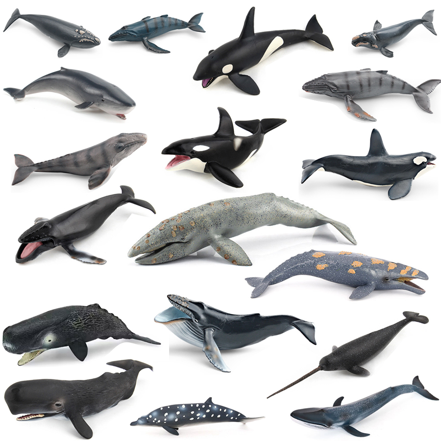 Marine Aquarium Decorations - リアルなザトウクジラ、カジキ、イッカク、シャチ、海洋生物動物モデル、アクションフィギュア、教育装飾玩具