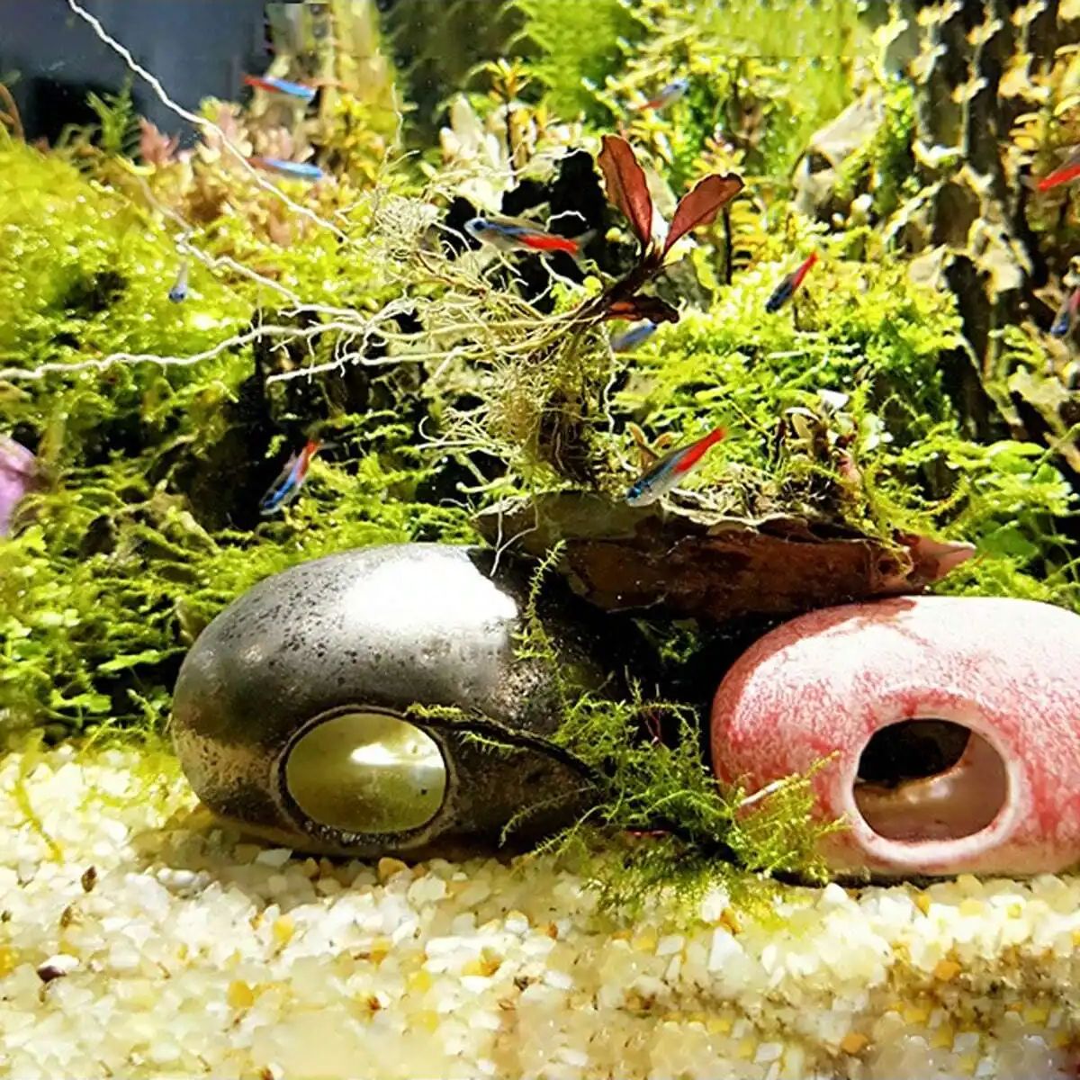 1pc-250 グラム天然結晶砂利石マイクロ風景庭水族館の装 - Marine Aquarium Aquascape のレビューと価格