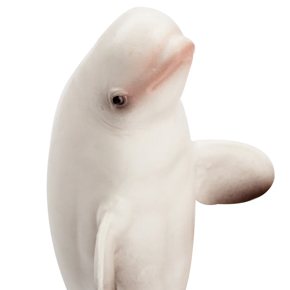 トイマニー-シミュレーションベルーガクジラ海洋動物モデルおも - Marine Aquarium Decorations のレビューと価格