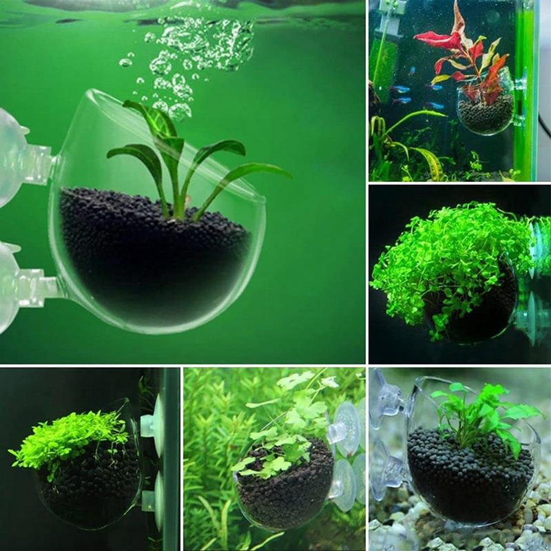水族館の装飾植物カップポットアクリル水生植物カップ吸引ホルダ - Marine Aquarium Aquascape のレビューと価格