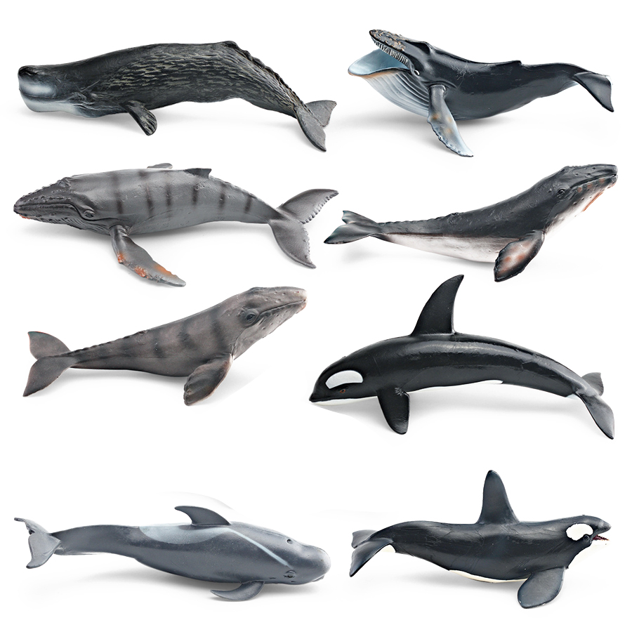 リアルなザトウクジラ、カジキ、イッカク、シャチ、海洋生物動物 - Marine Aquarium Decorations のレビューと価格