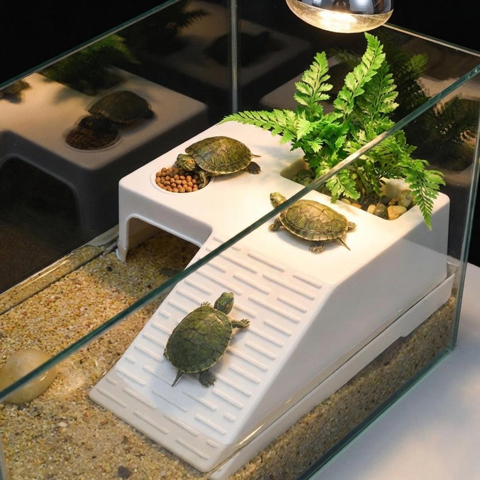 カメ休憩用日光浴プラットフォーム休憩テラス装飾水槽アクセサリ - Marine Aquarium Aquascape のレビューと価格