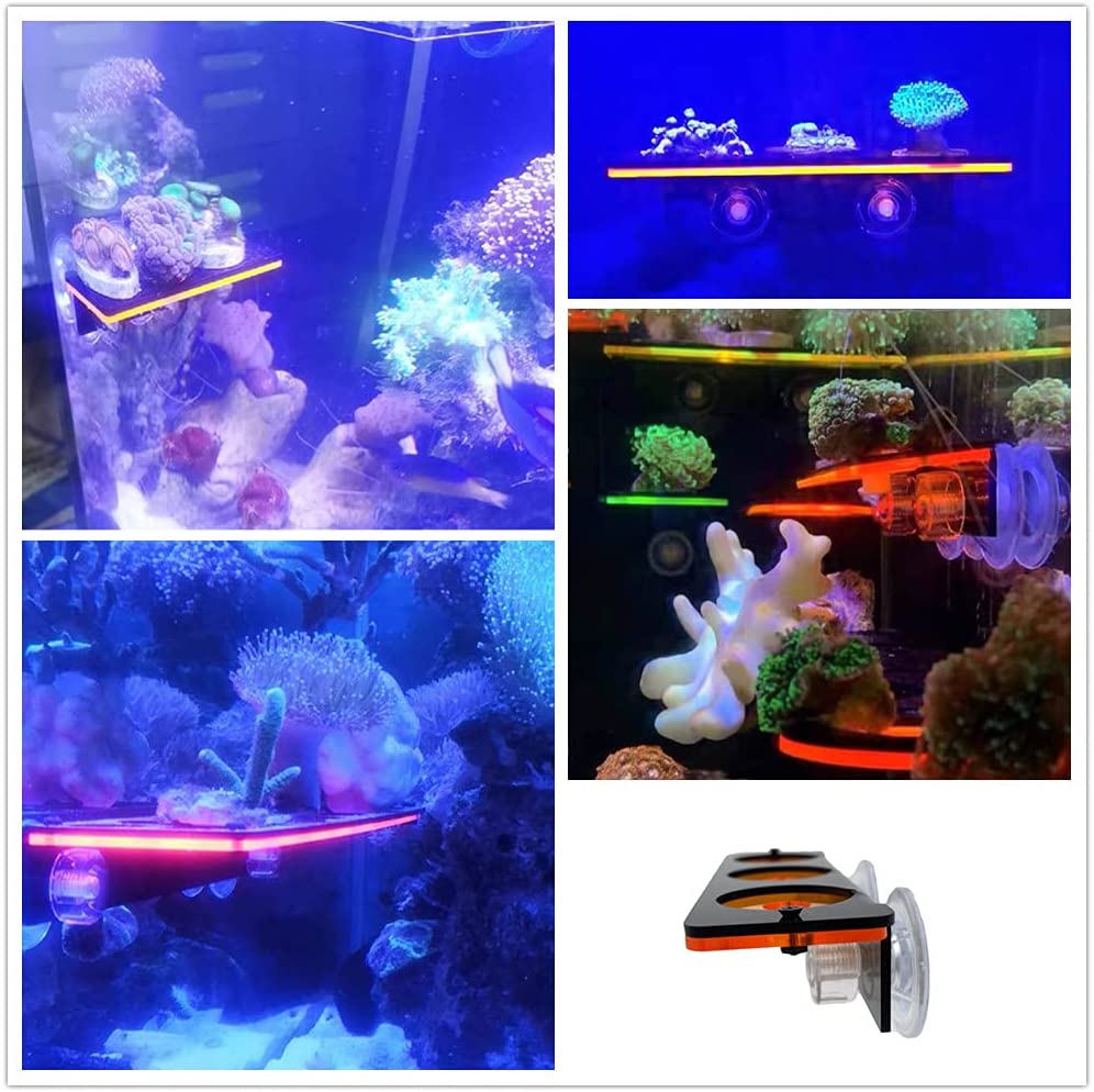 蛍光サンゴフラグプラグブラケット成長ホルダーアクリルラックマ - Marine Aquarium Aquascape のレビューと価格