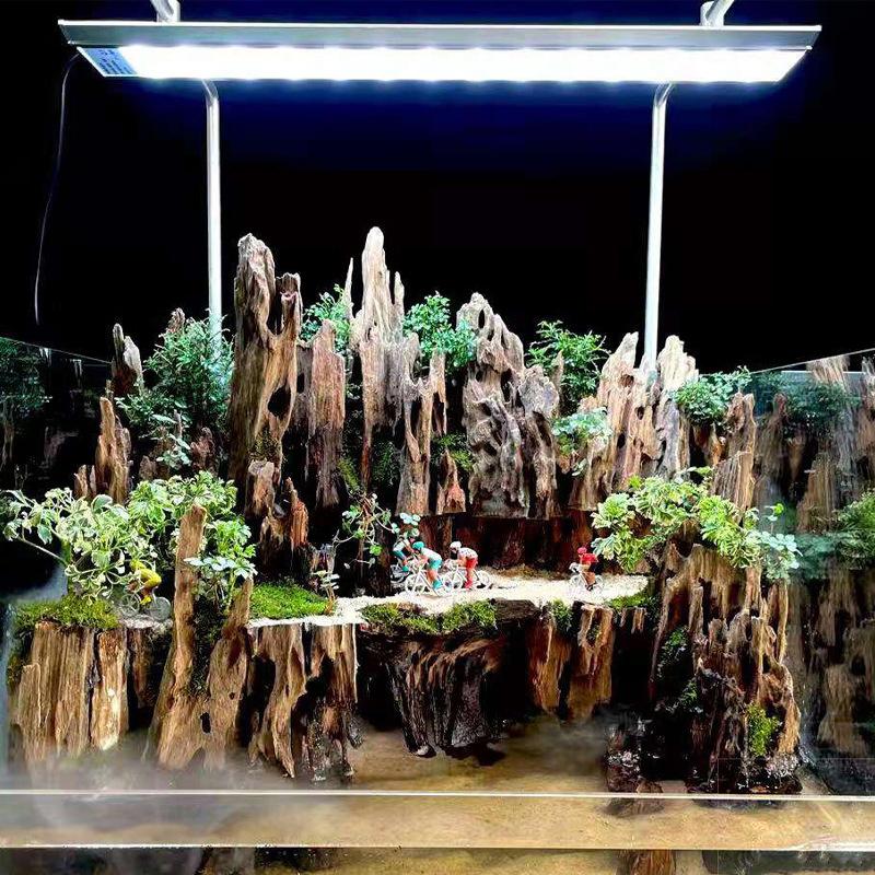 △   エビの木製水槽装飾品、天然の穴が付いた水槽用の流木水 - Marine Aquarium Aquascape のレビューと価格